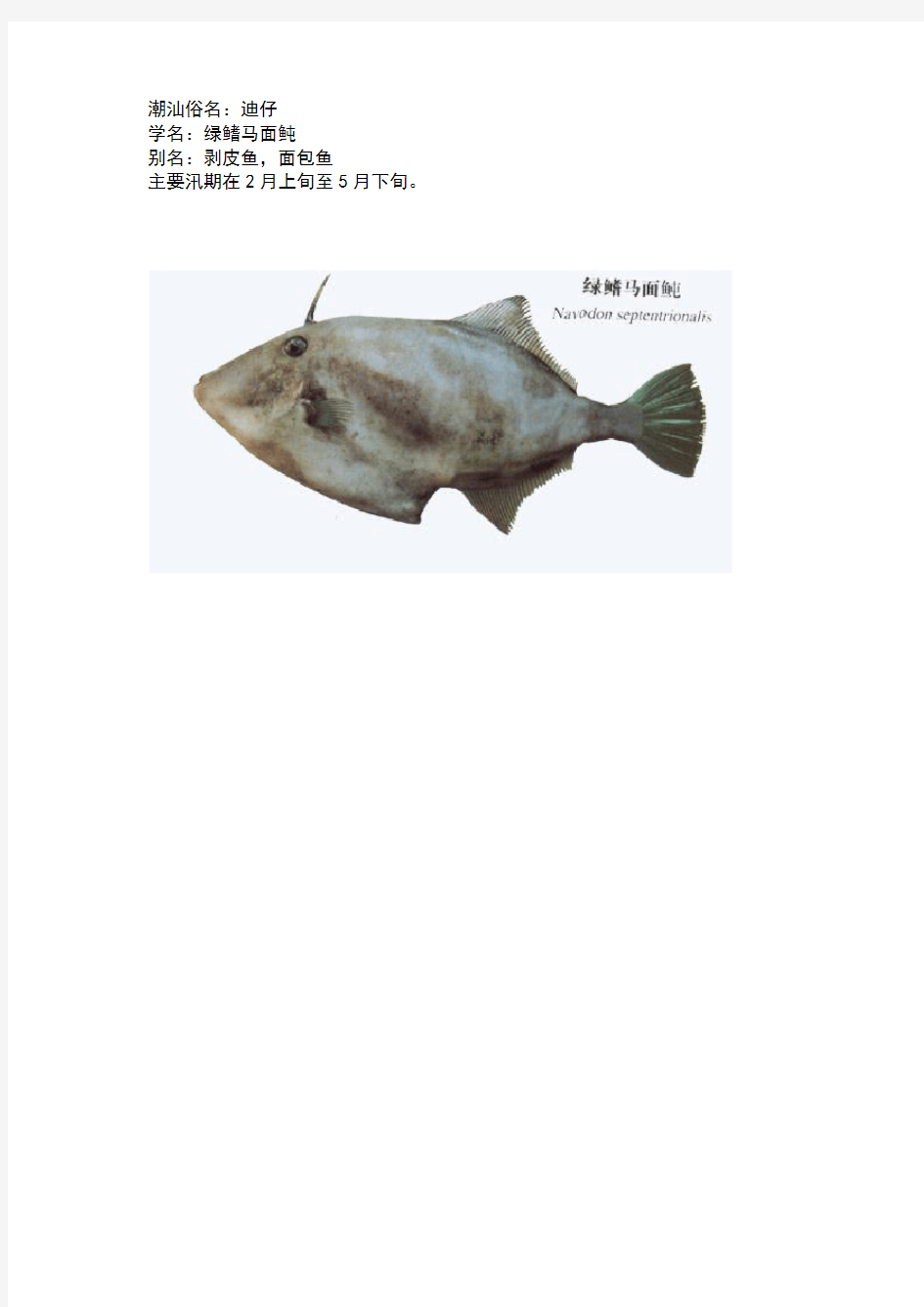 潮汕鱼的读音和分类