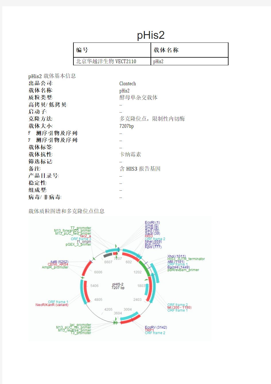 pHis2酵母表达载体说明