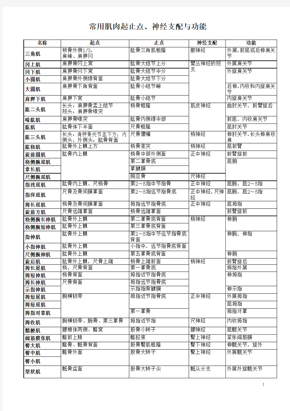 肌肉起止点神经支配及功能