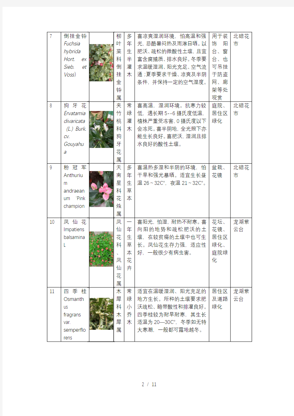 60种常见花卉调研报告