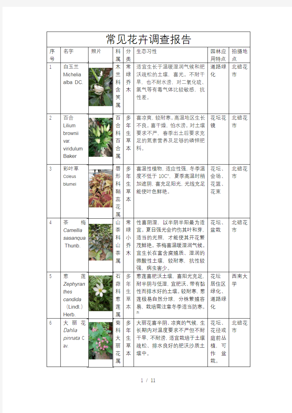 60种常见花卉调研报告