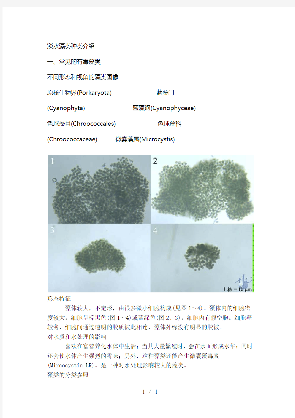 淡水藻类种类介绍