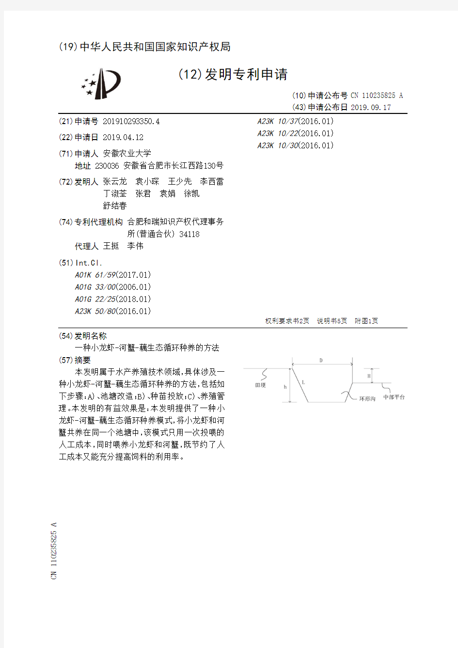 【CN110235825A】一种小龙虾河蟹藕生态循环种养的方法【专利】