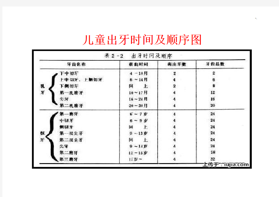 儿童出牙及其换牙顺序图