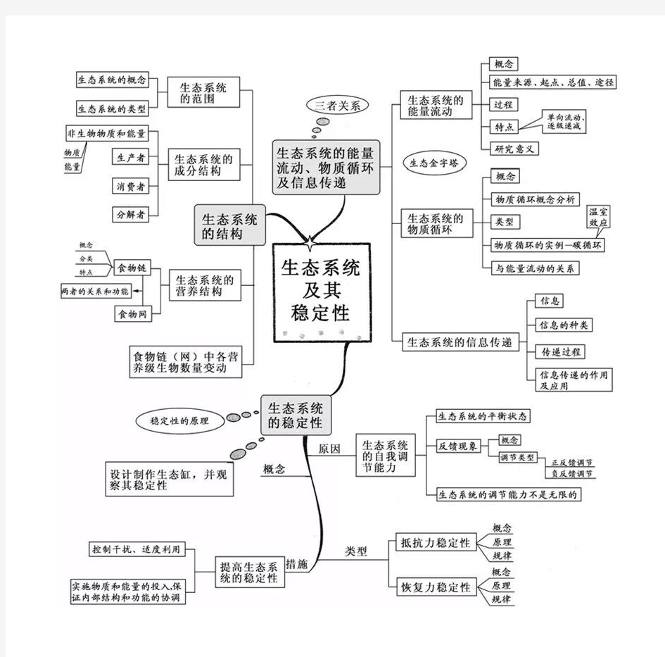 初中生物思维导图17生态系统及其稳定性