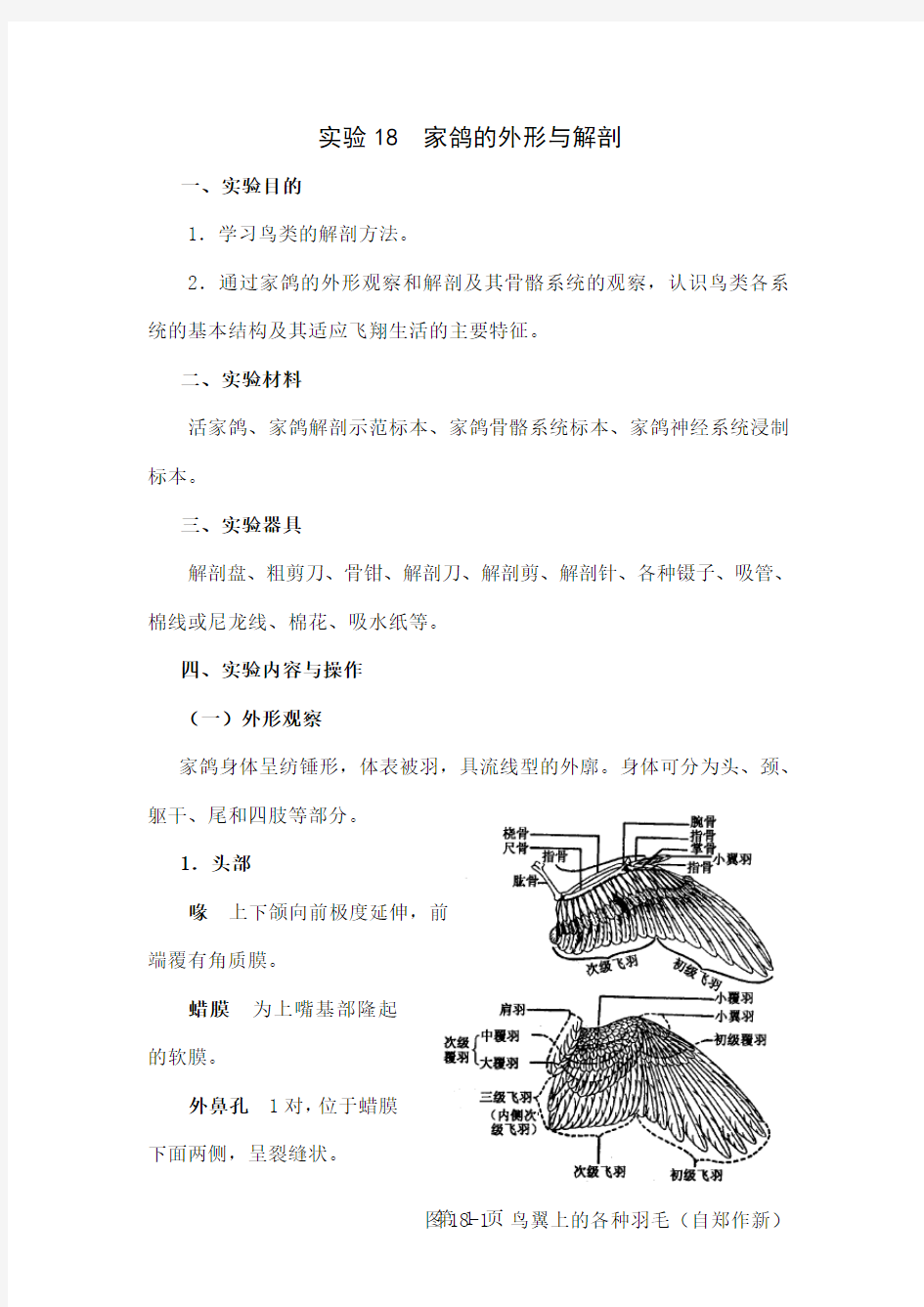 实验18家鸽的外形与解剖-15页精选文档