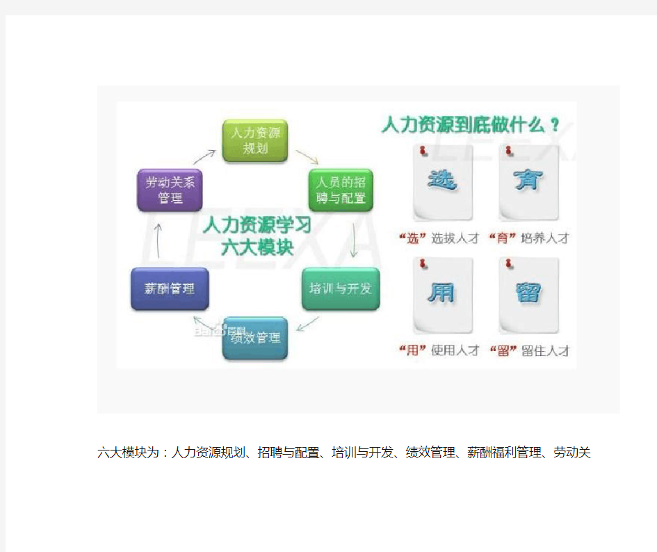 组织行为学在人力资源管理中的地位