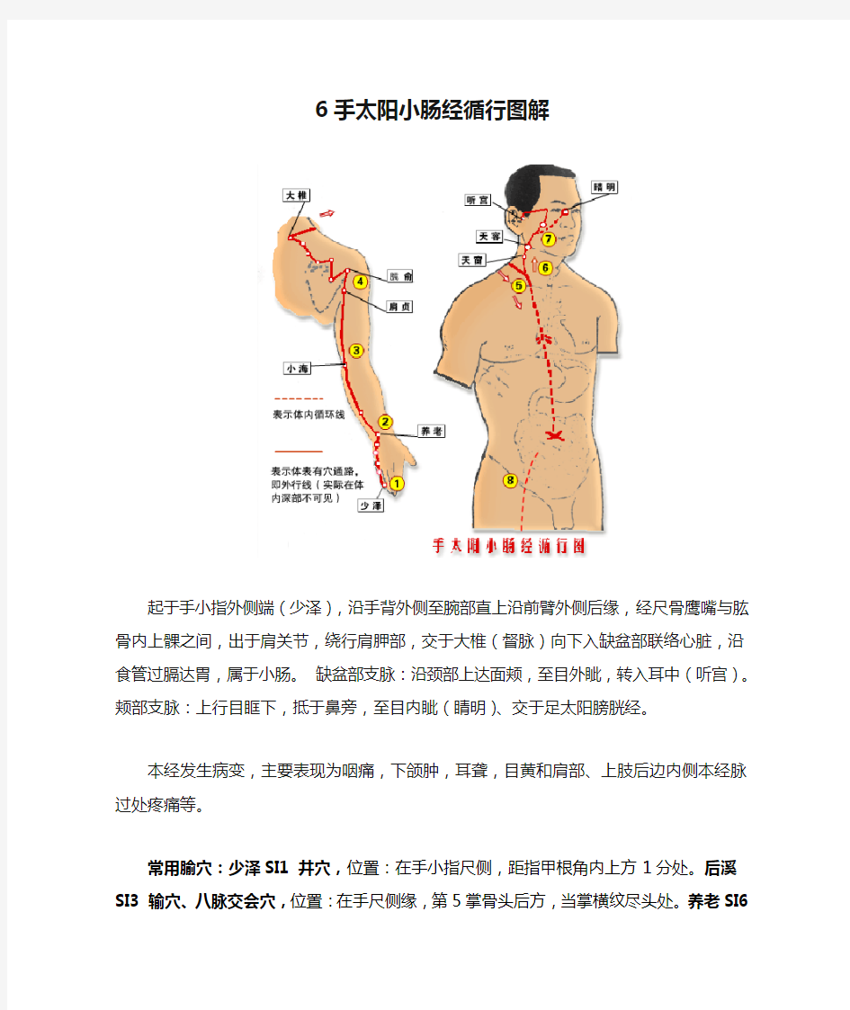 6手太阳小肠经循行图解