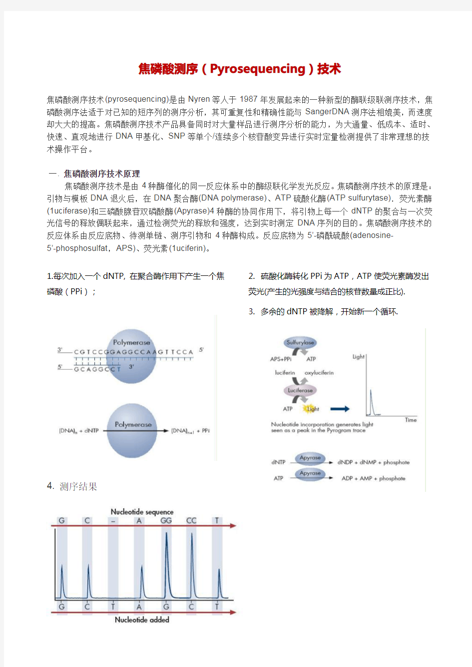 焦磷酸测序技术原理及应用