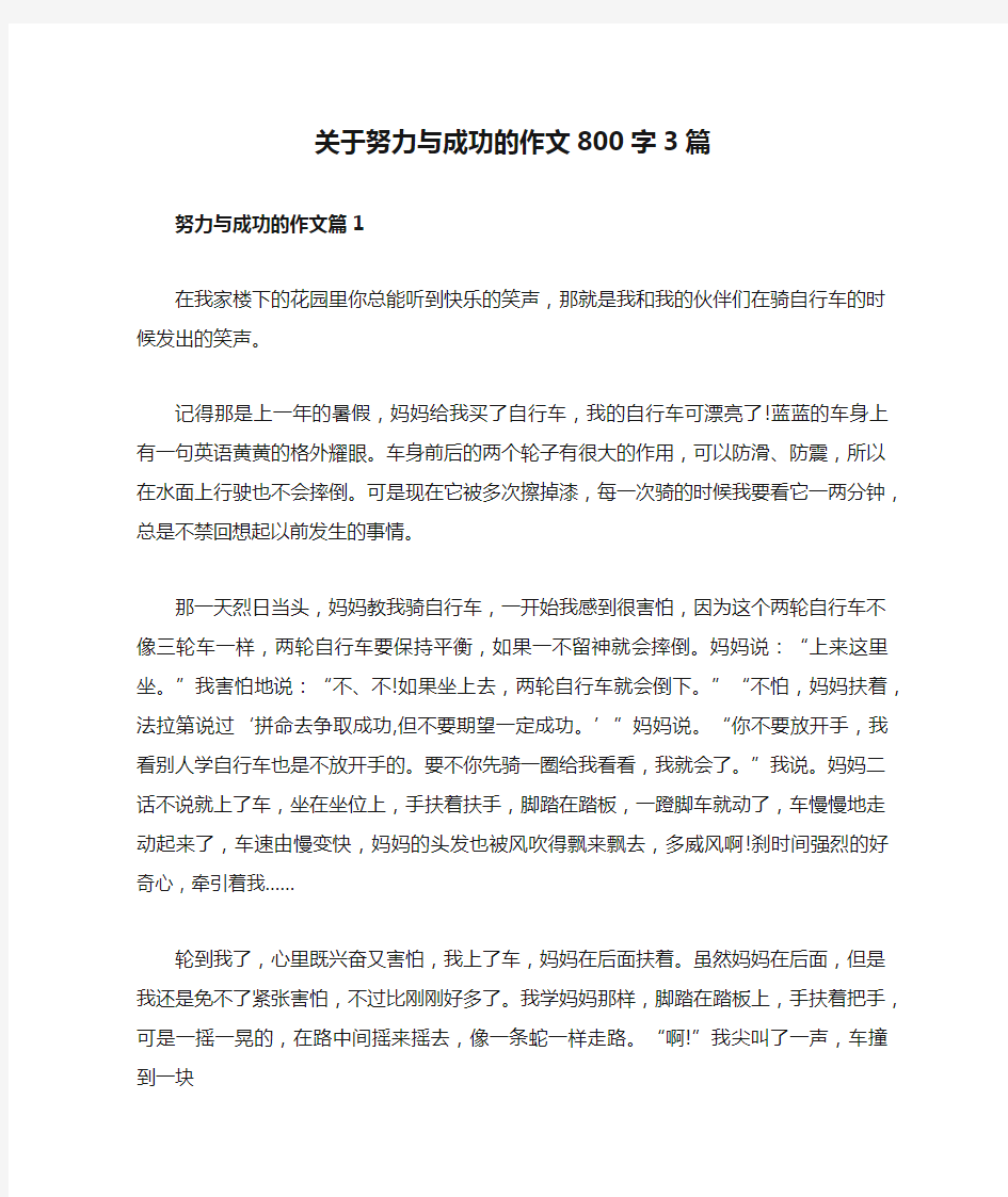 关于努力与成功的作文800字3篇