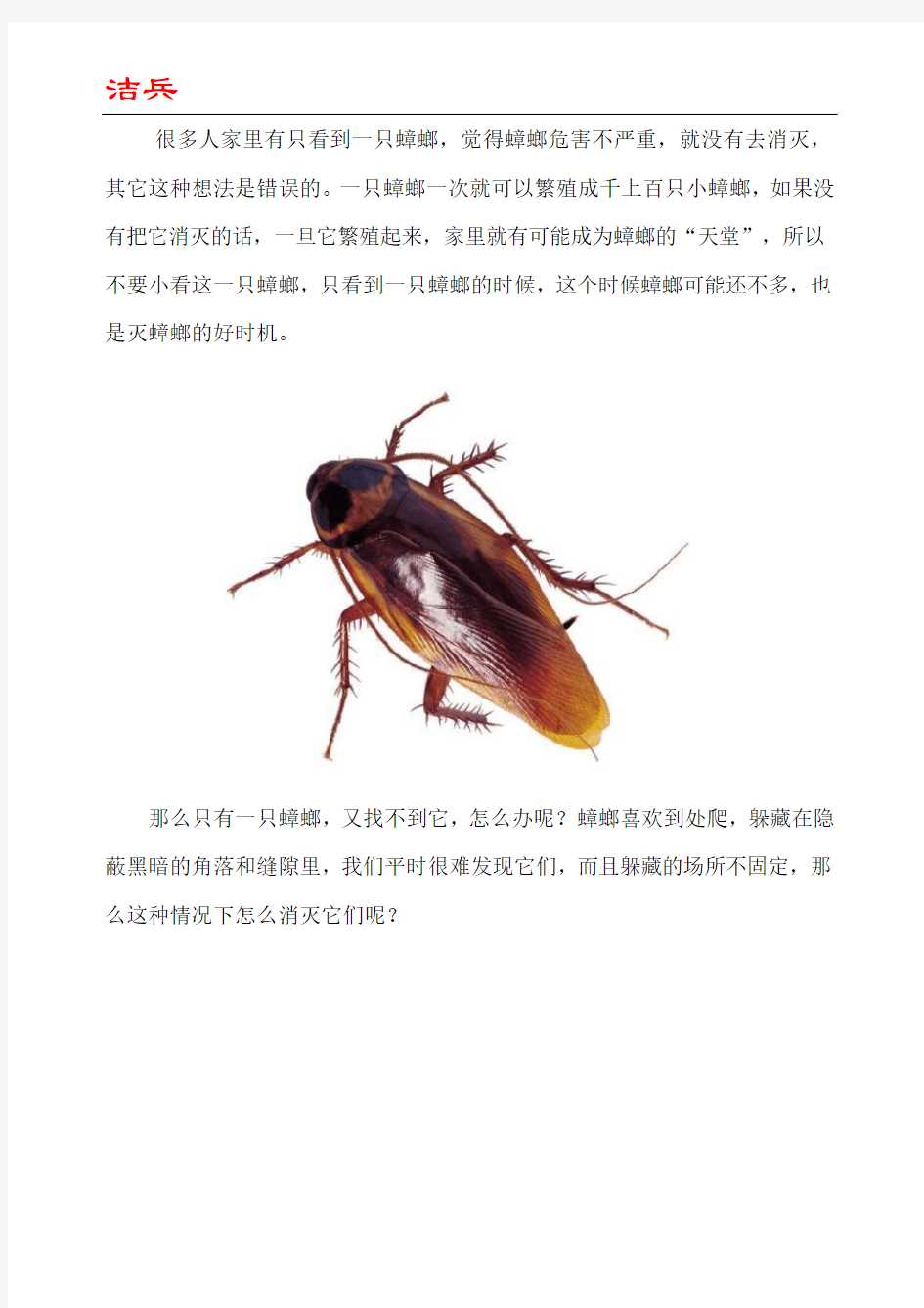 家里只有一只蟑螂怎么消灭