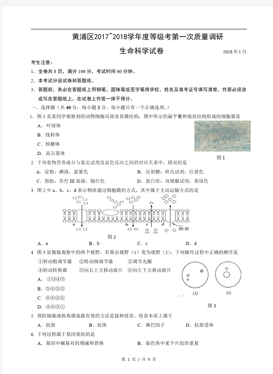 上海市黄浦区2018年高三(一模)生命科学试题及答案