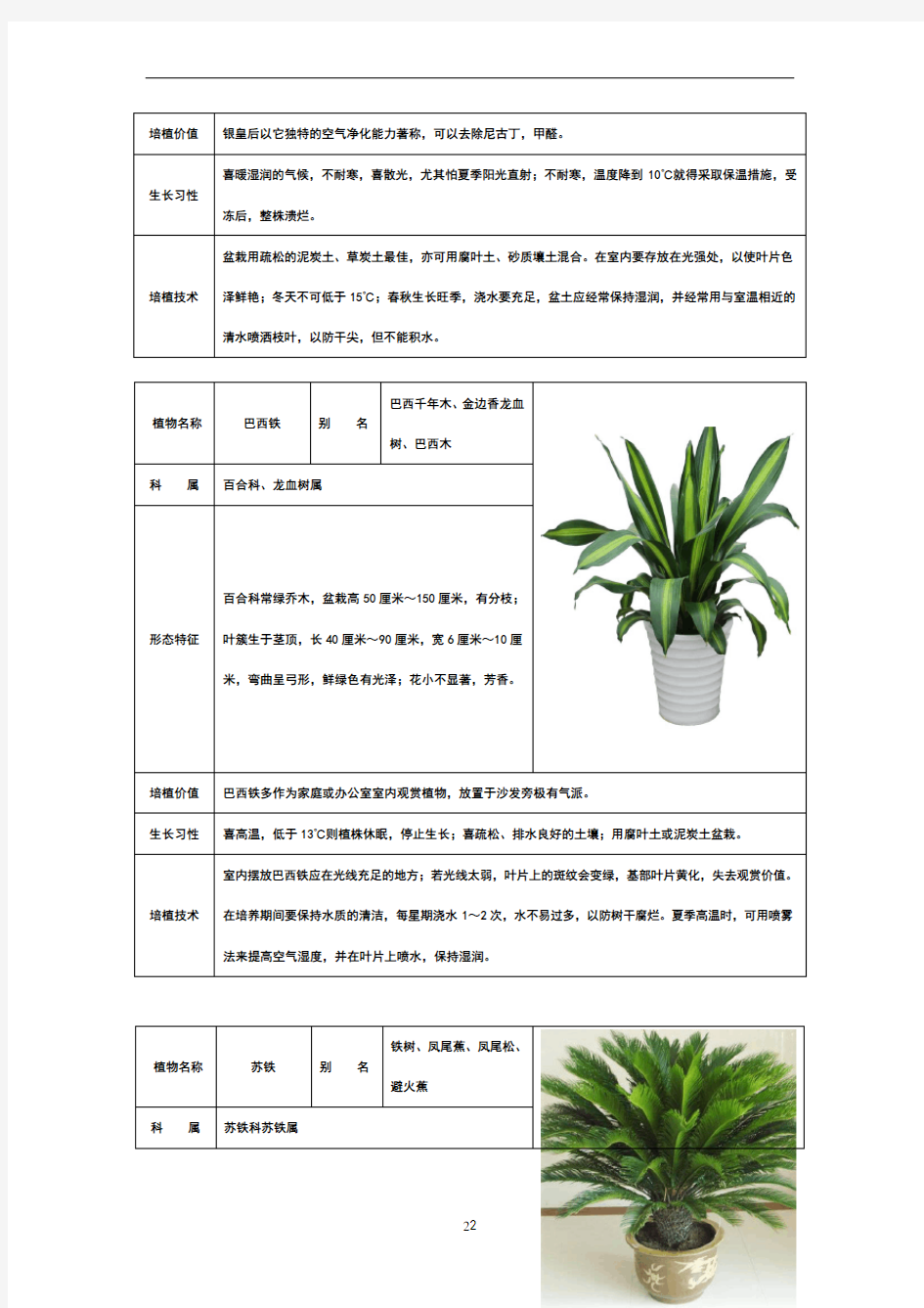 50种常见室内绿化植物介绍
