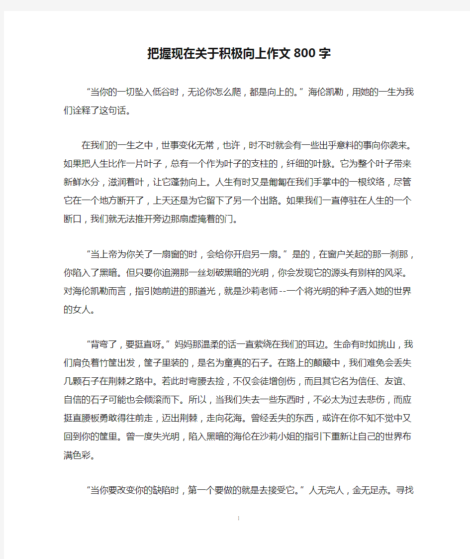 把握现在关于积极向上作文800字