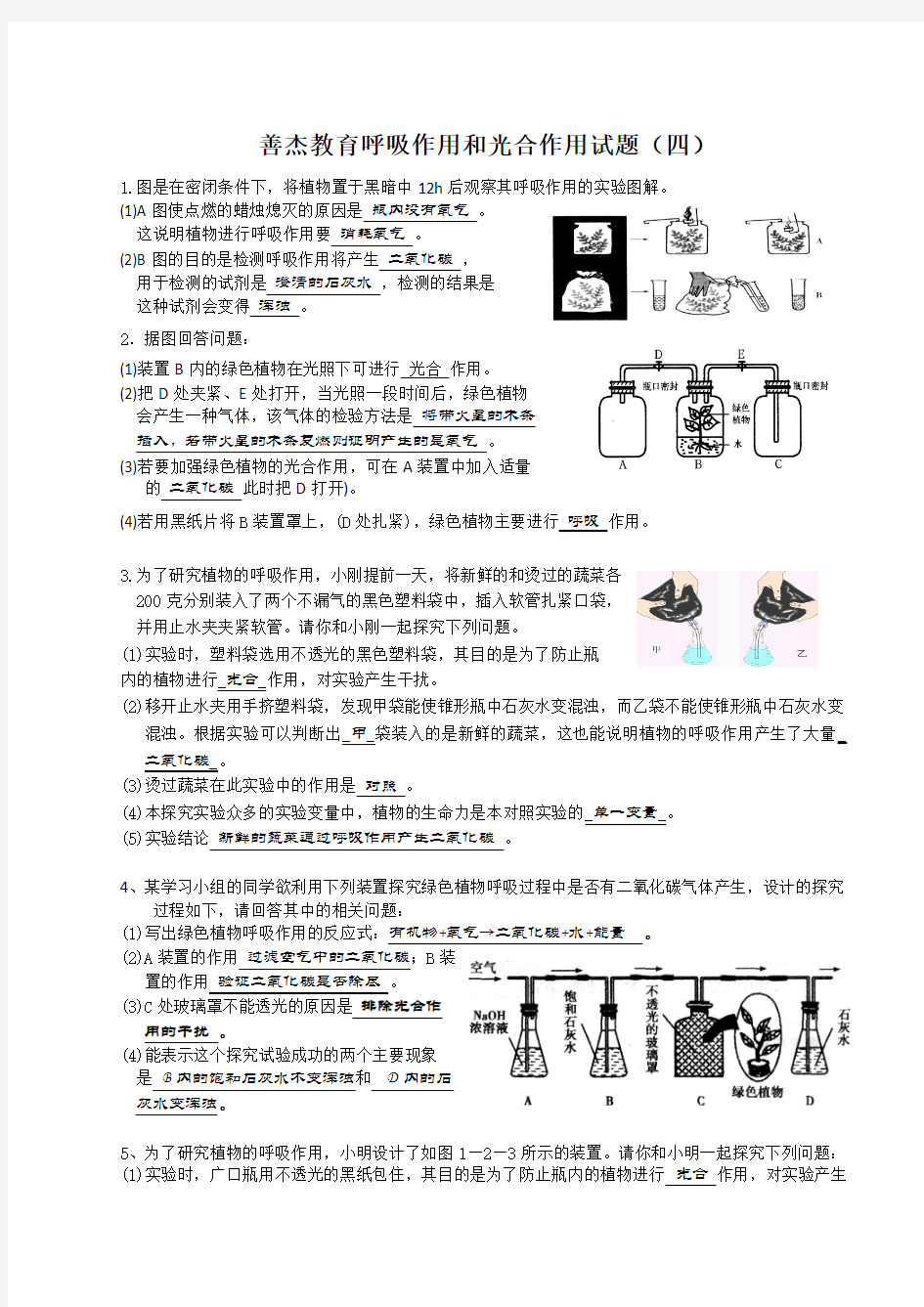 善杰教育呼吸作用和光合作用试题(四)教师版