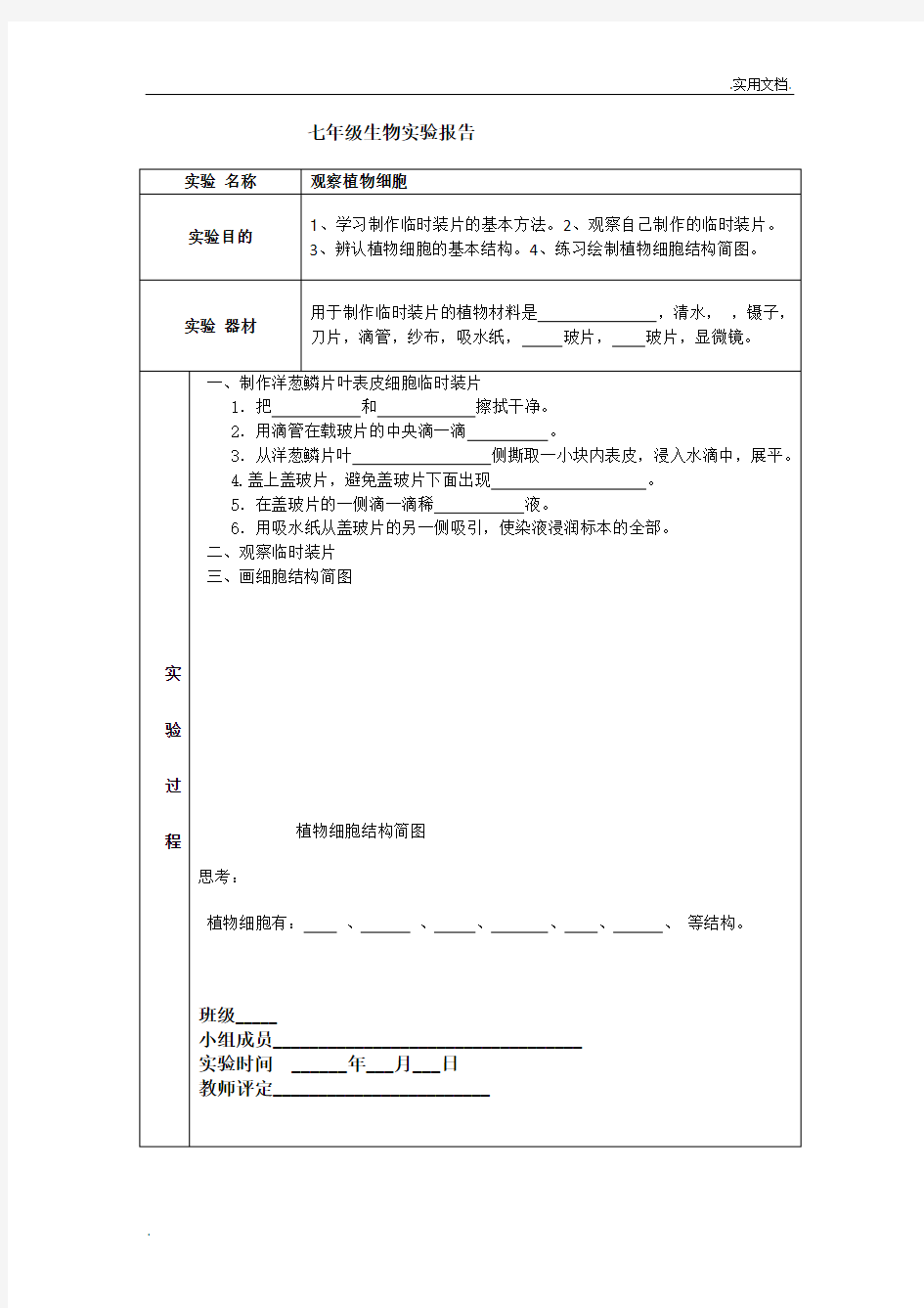 观察植物细胞的实验报告