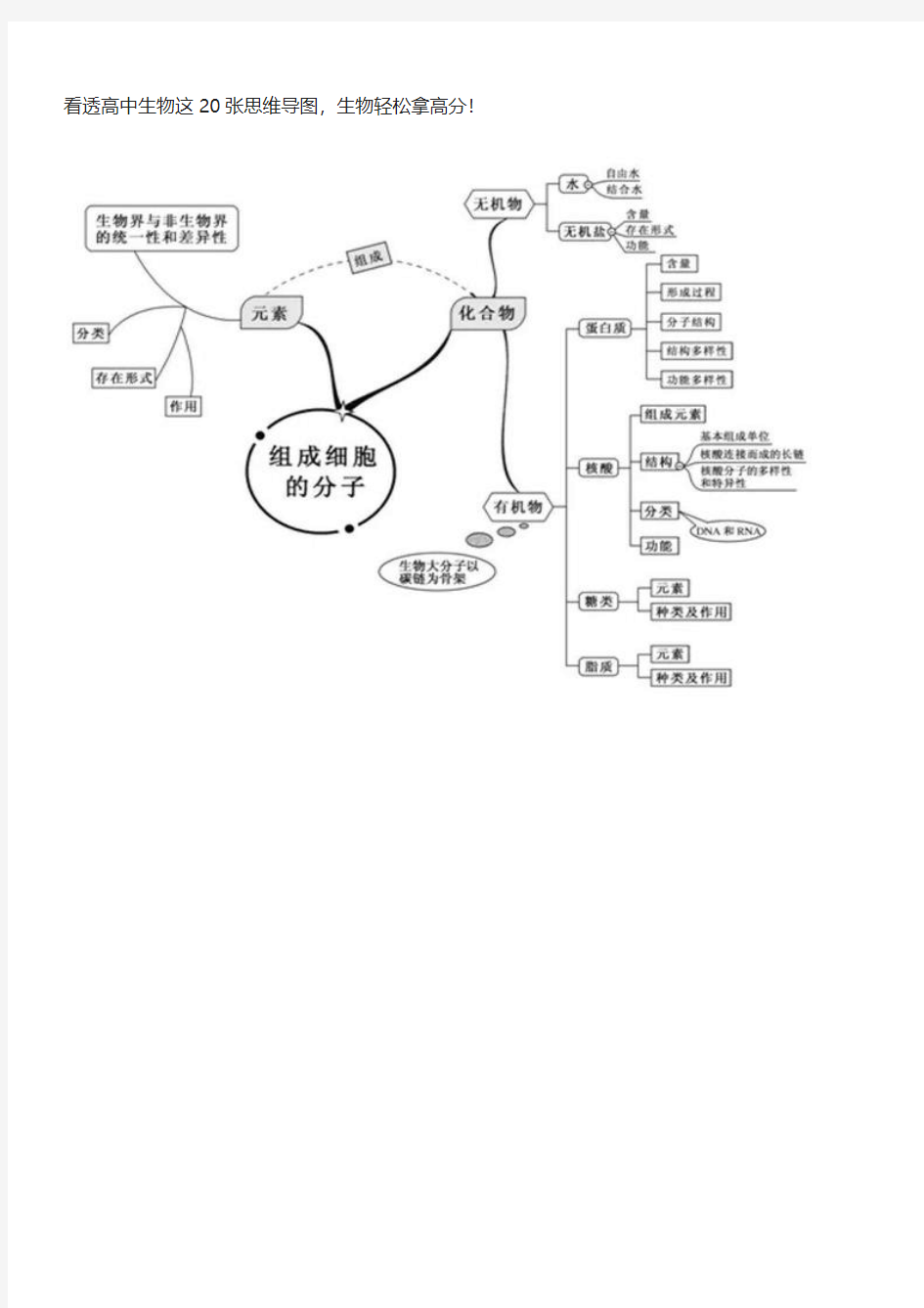 高考高中生物20张思维导图