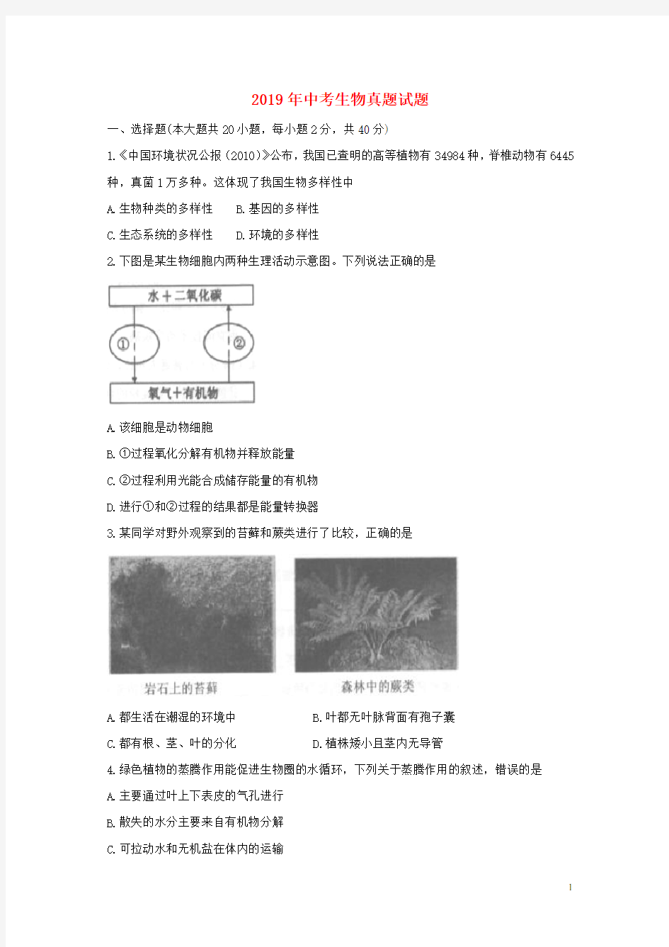 2019中考生物真题试题(含答案)