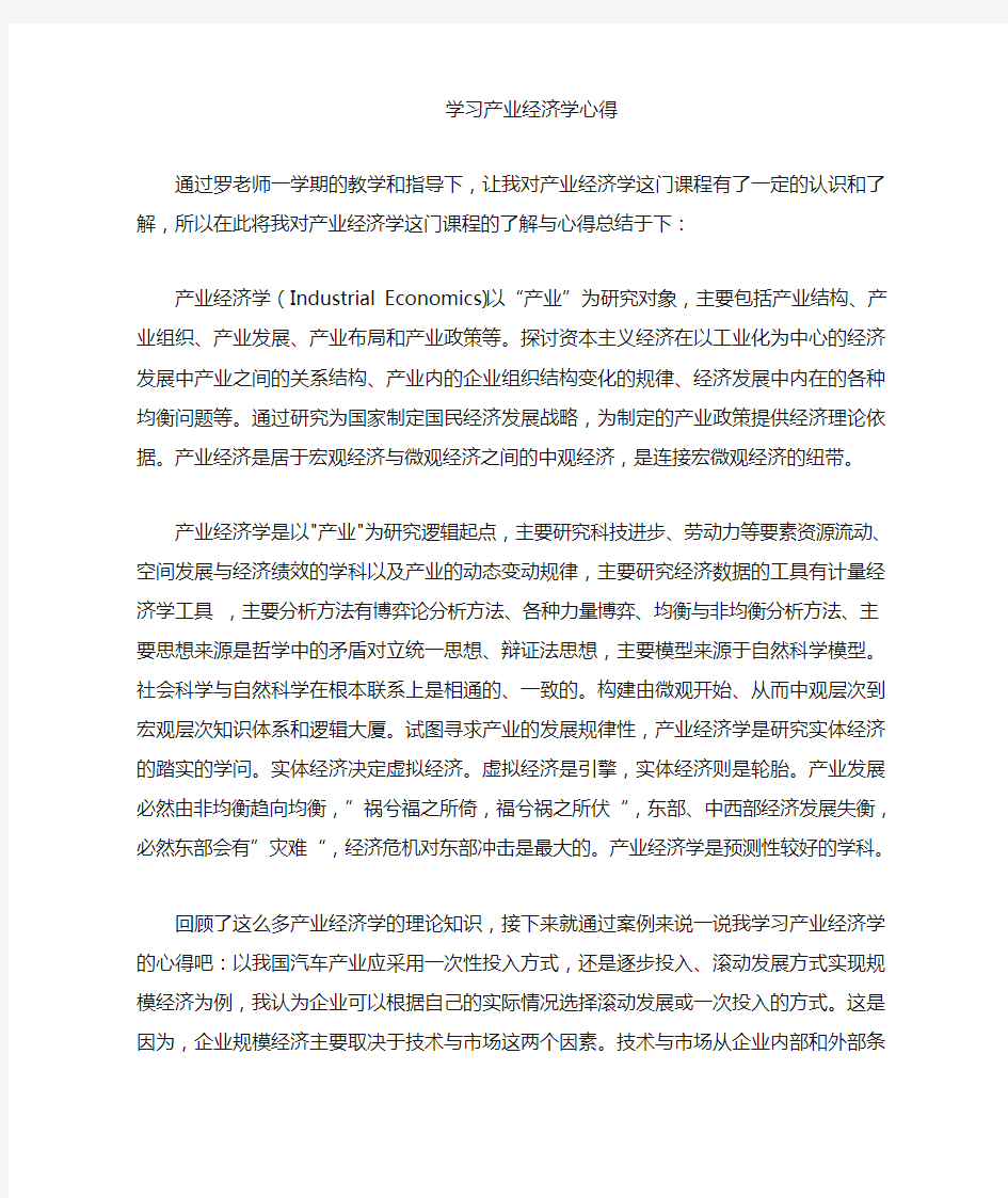 产业经济学心得