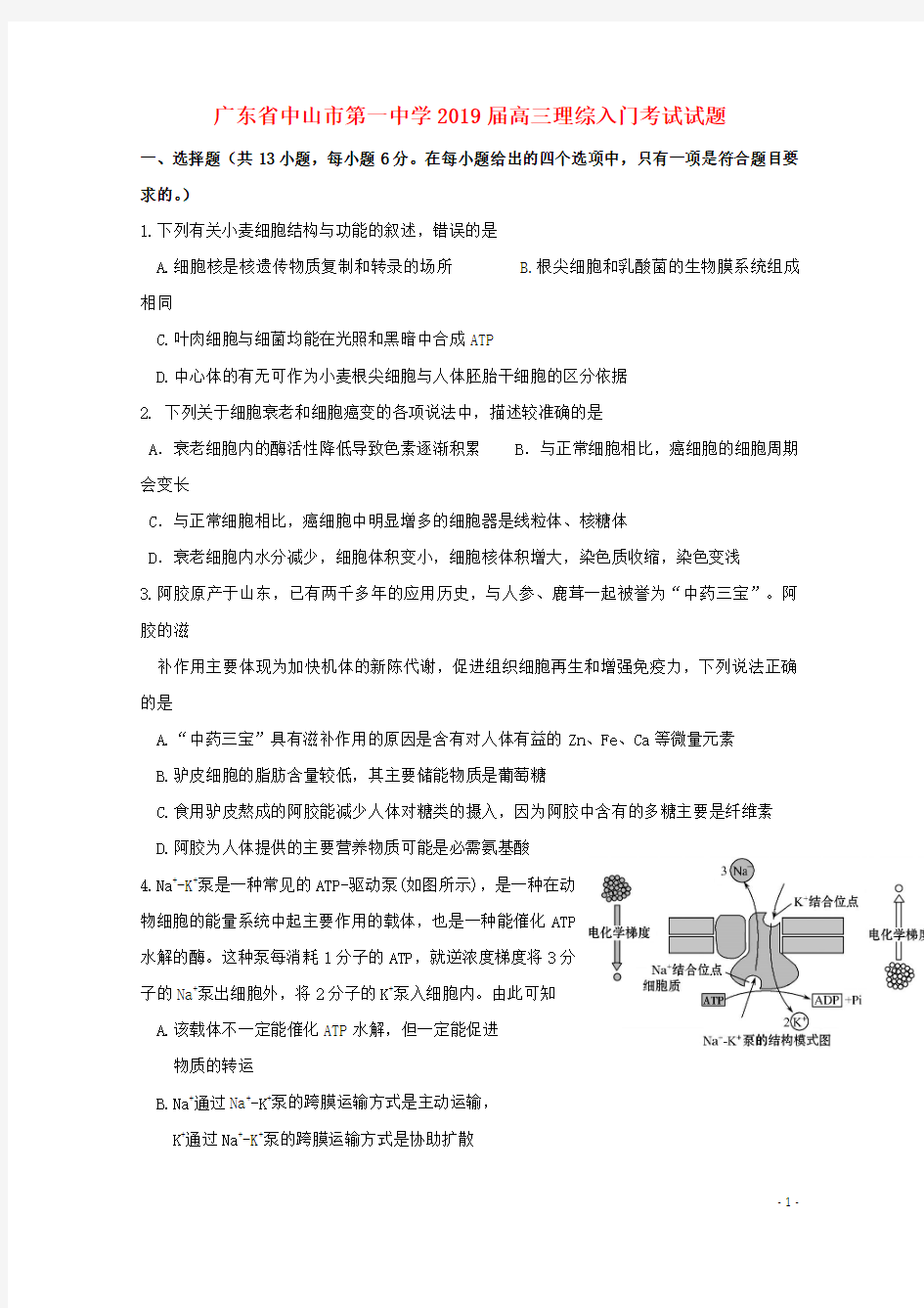 广东省中山市第一中学2019届高三理综入门考试试题