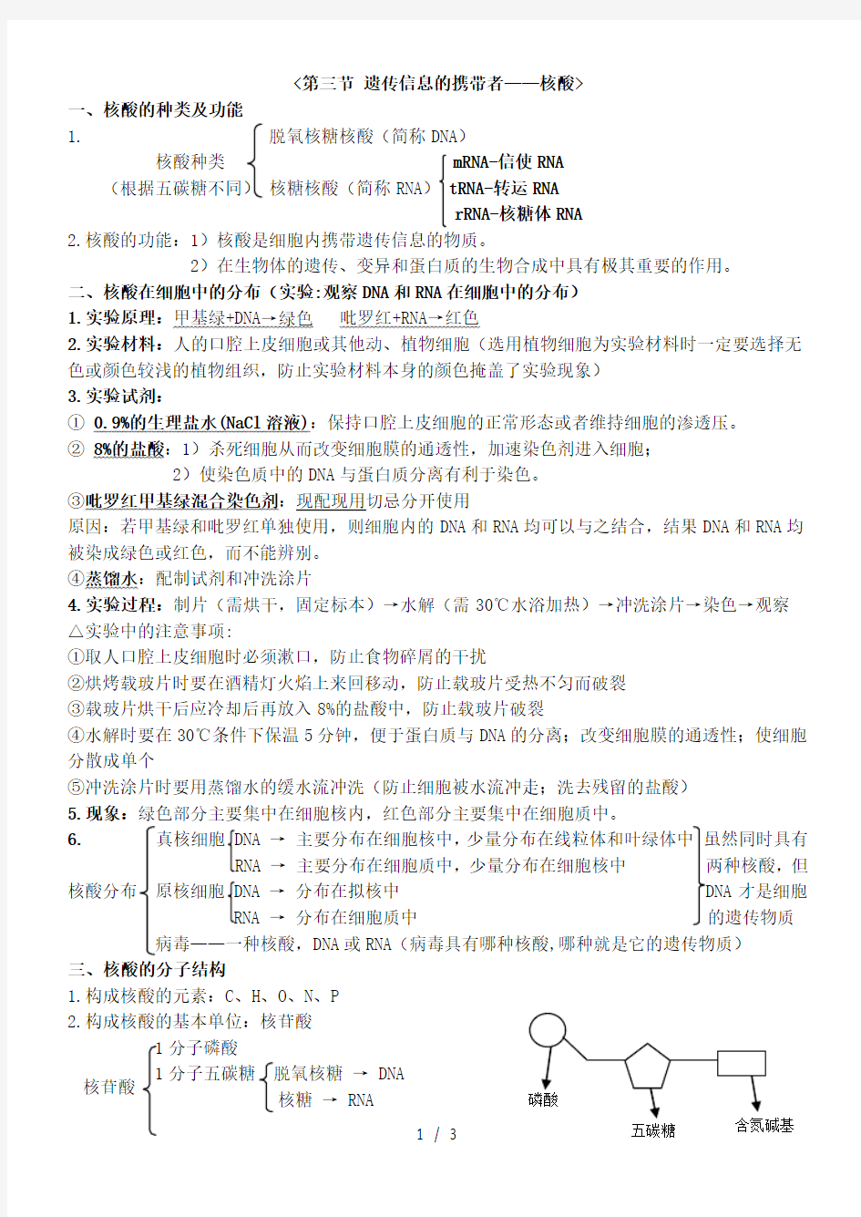 遗传信息的携带者核酸  知识点总结