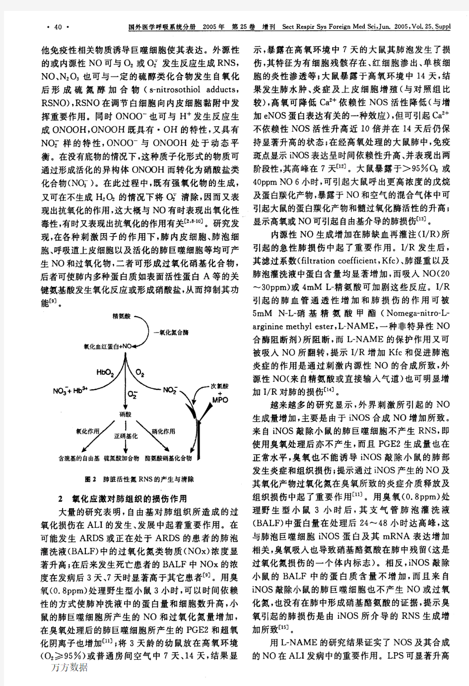 氧化应激与急性肺损伤