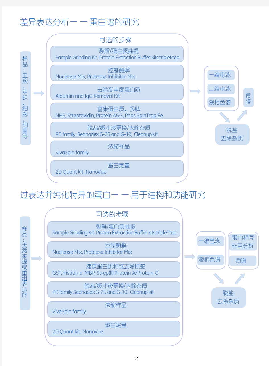 蛋白质样品制备2009中文版