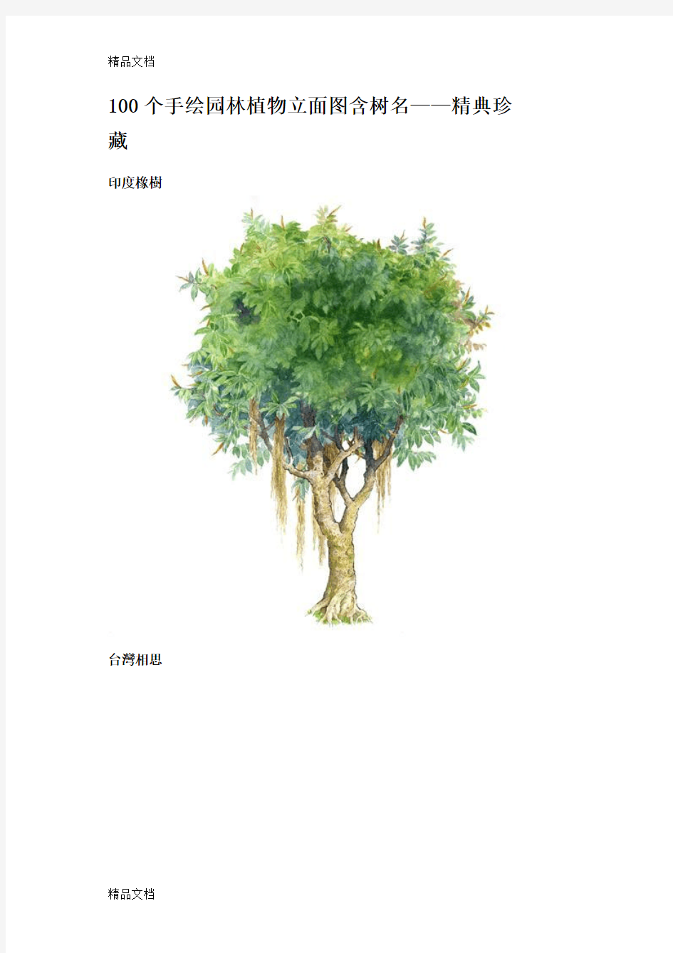 (整理)100个手绘园林植物立面图含树名.