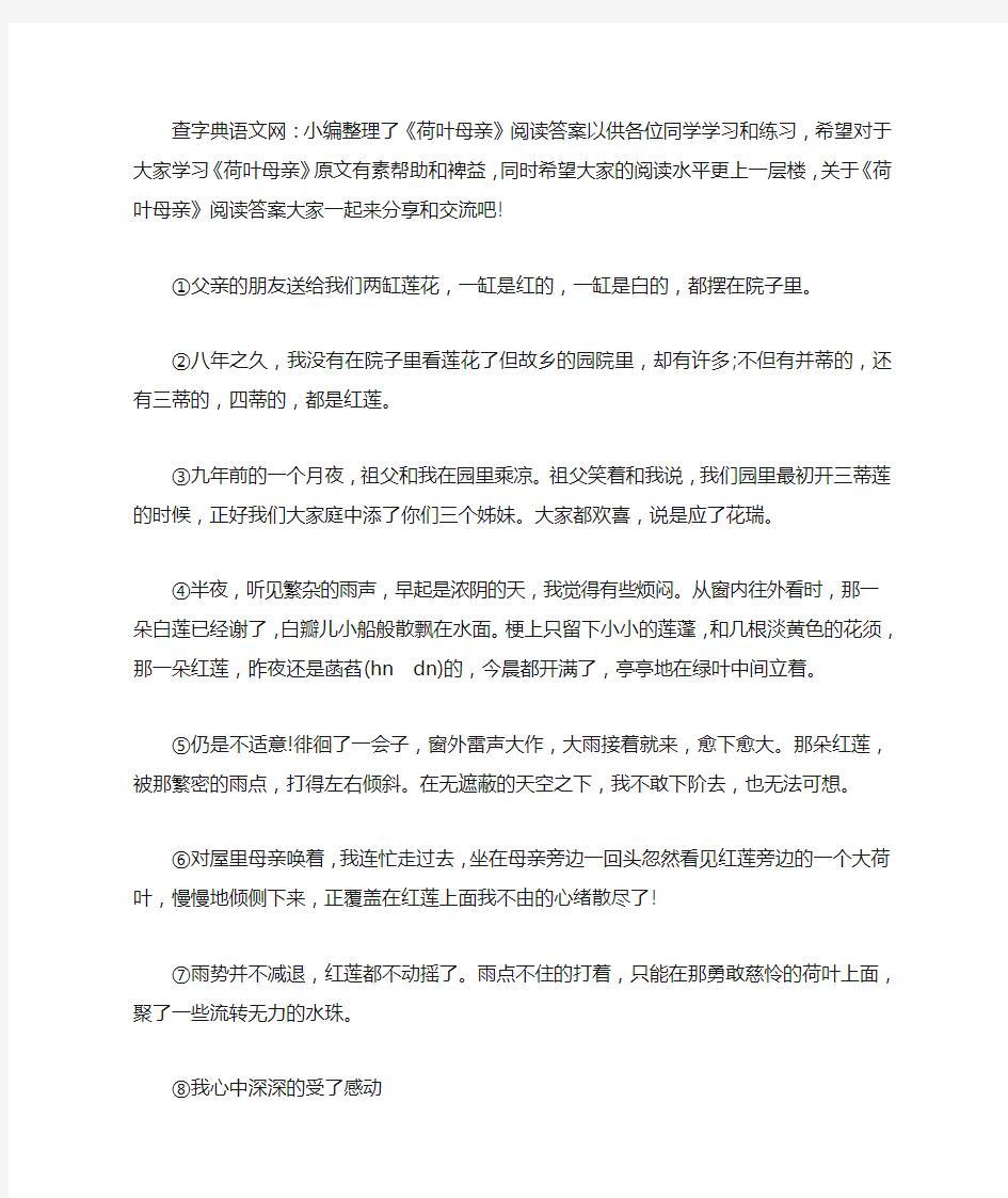 《荷叶母亲》阅读答案