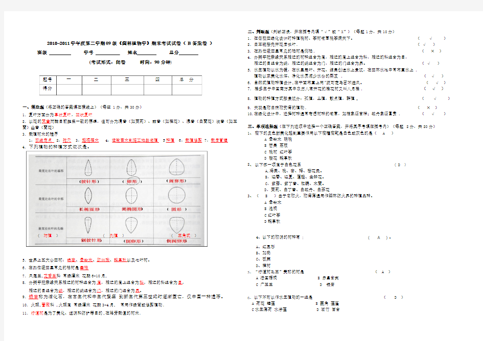 园林植物学试卷 B答案卷