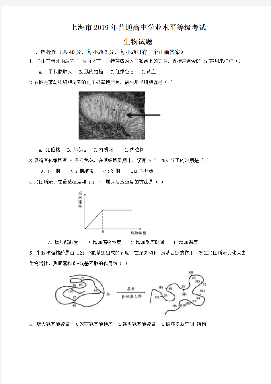 上海市2019年普通高中学业水平等级考试(包含答案)