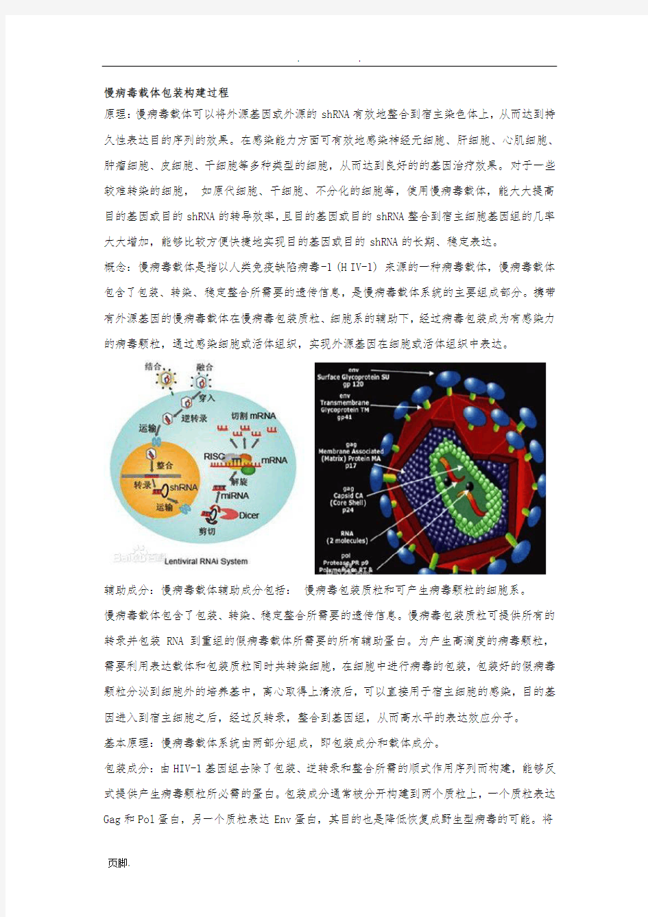 慢病毒载体包装构建过程