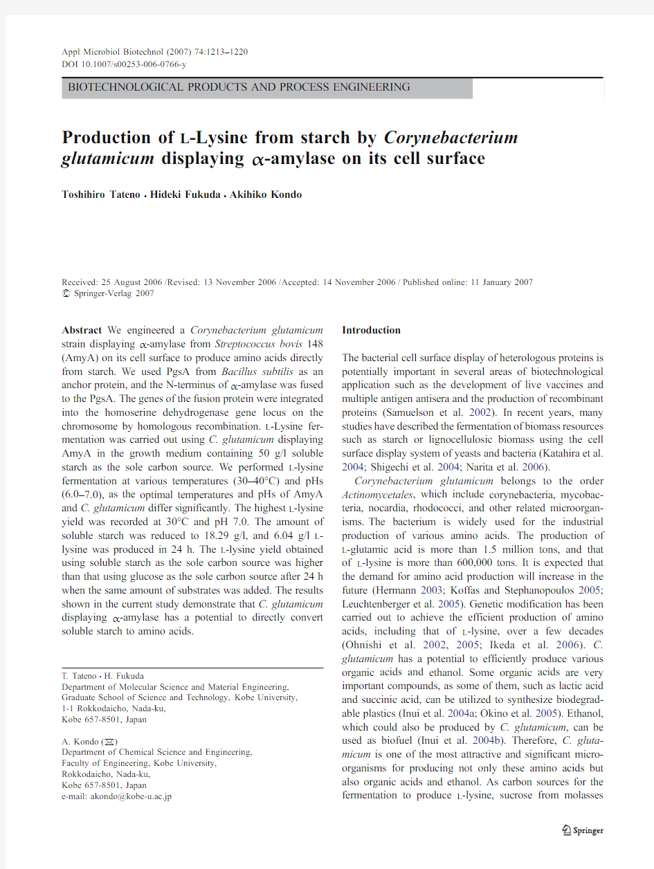 Production of L-Lysine from starch by Corynebacterium glutamicum displaying α-amylase on its cell