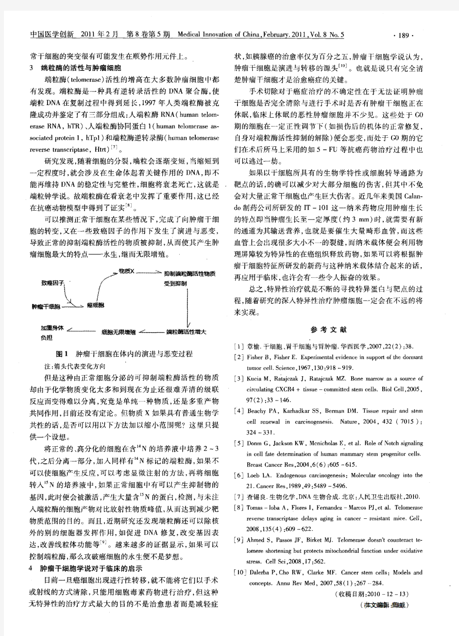 肿瘤干细胞学说与端粒酶学说的联系与假设