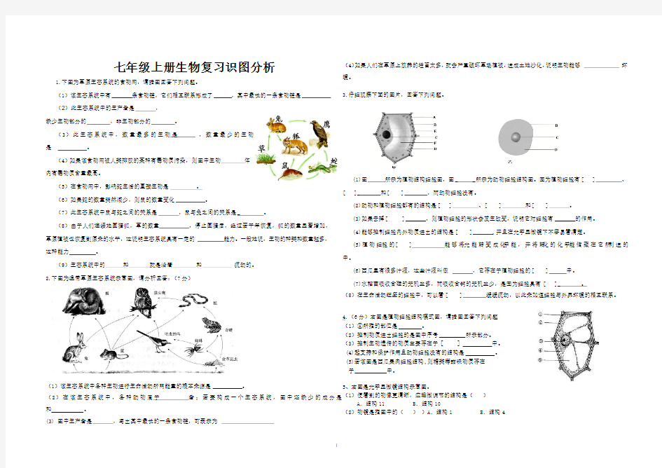 初中七年级上册生物复习识图分析