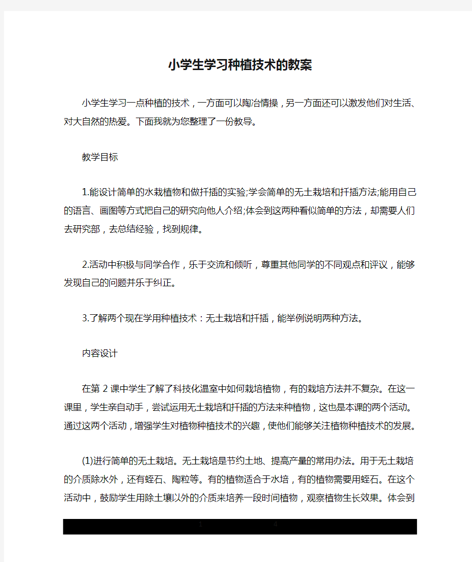 小学生学习种植技术的教案