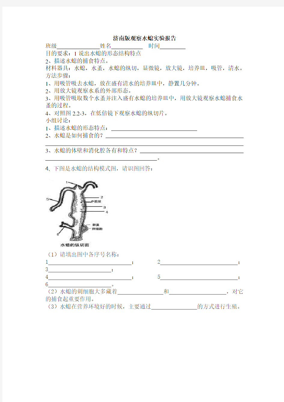 观察水螅实验报告 Microsoft Word 文档