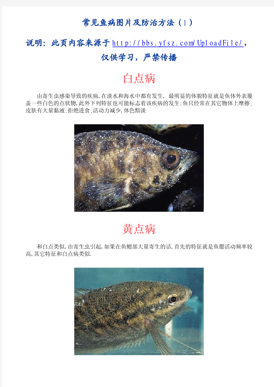 常见鱼病图片及防治方法(上)[1]