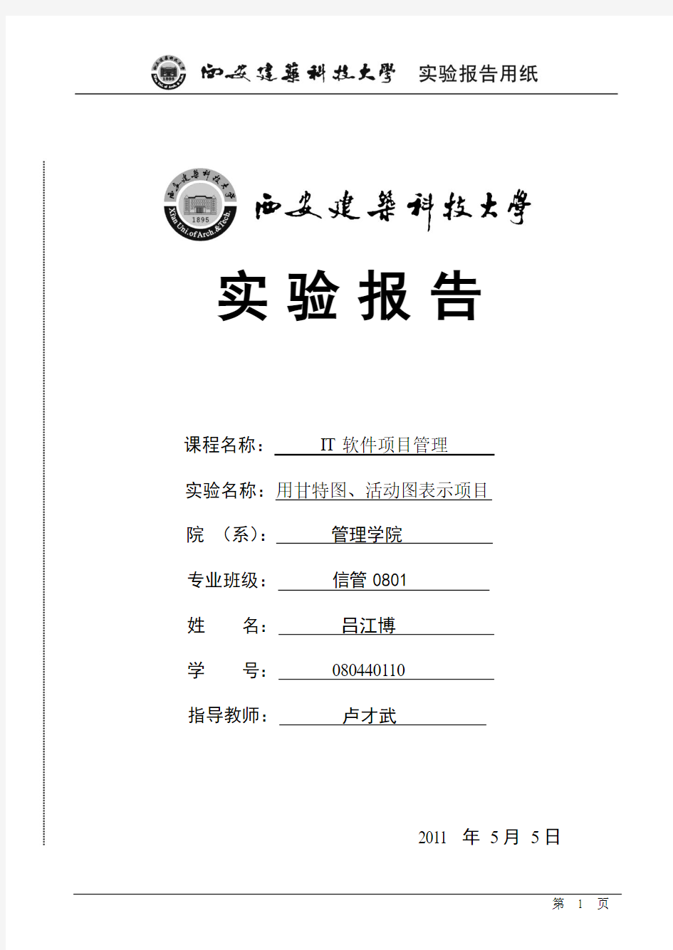 IT项目实验报告