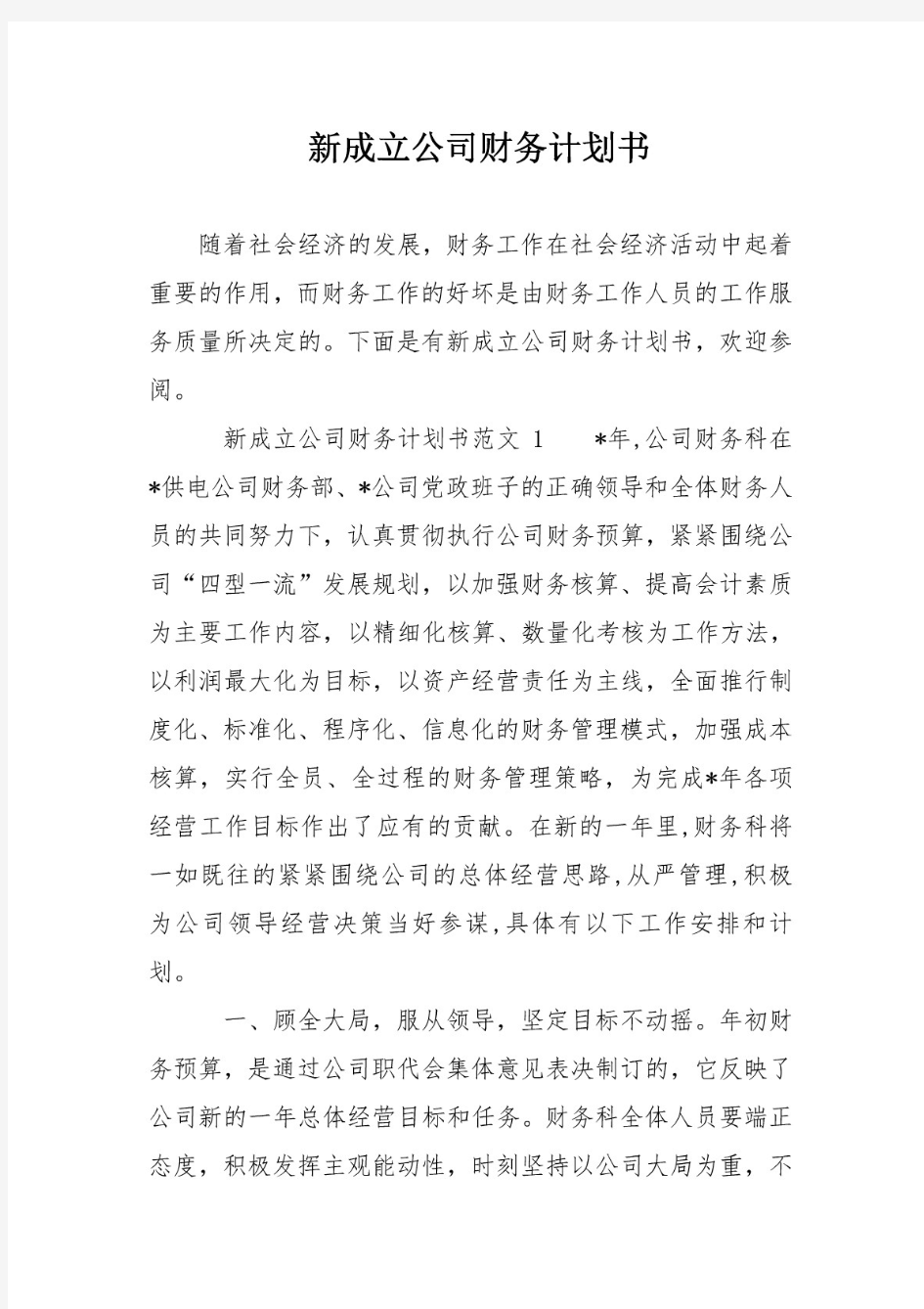 新成立公司财务计划书