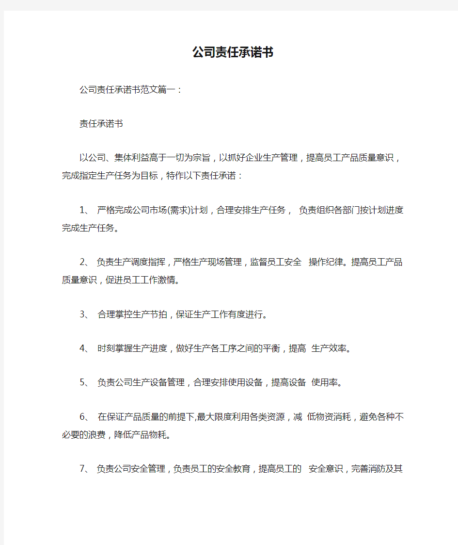 公司责任承诺书