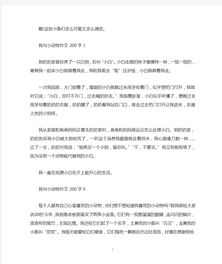 我与小动物作文200字4篇