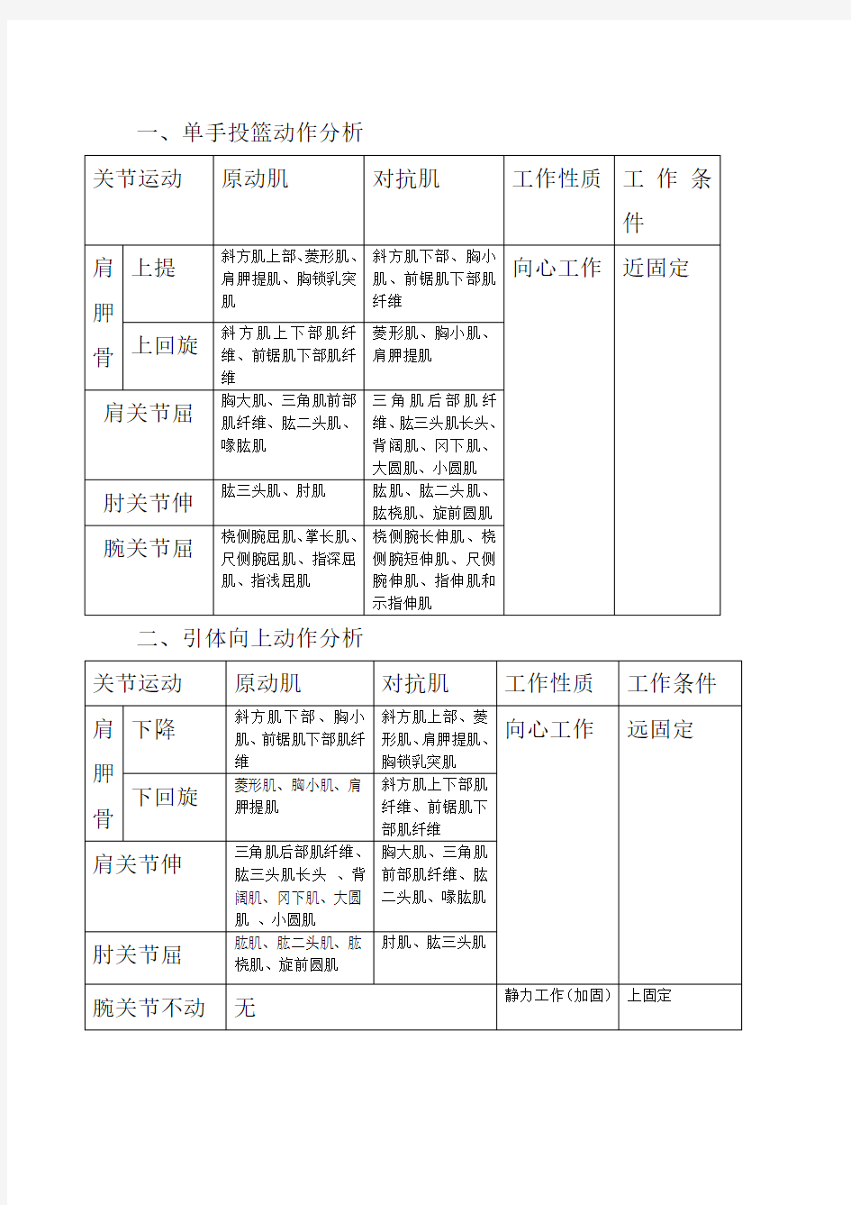 运动解剖学动作分析