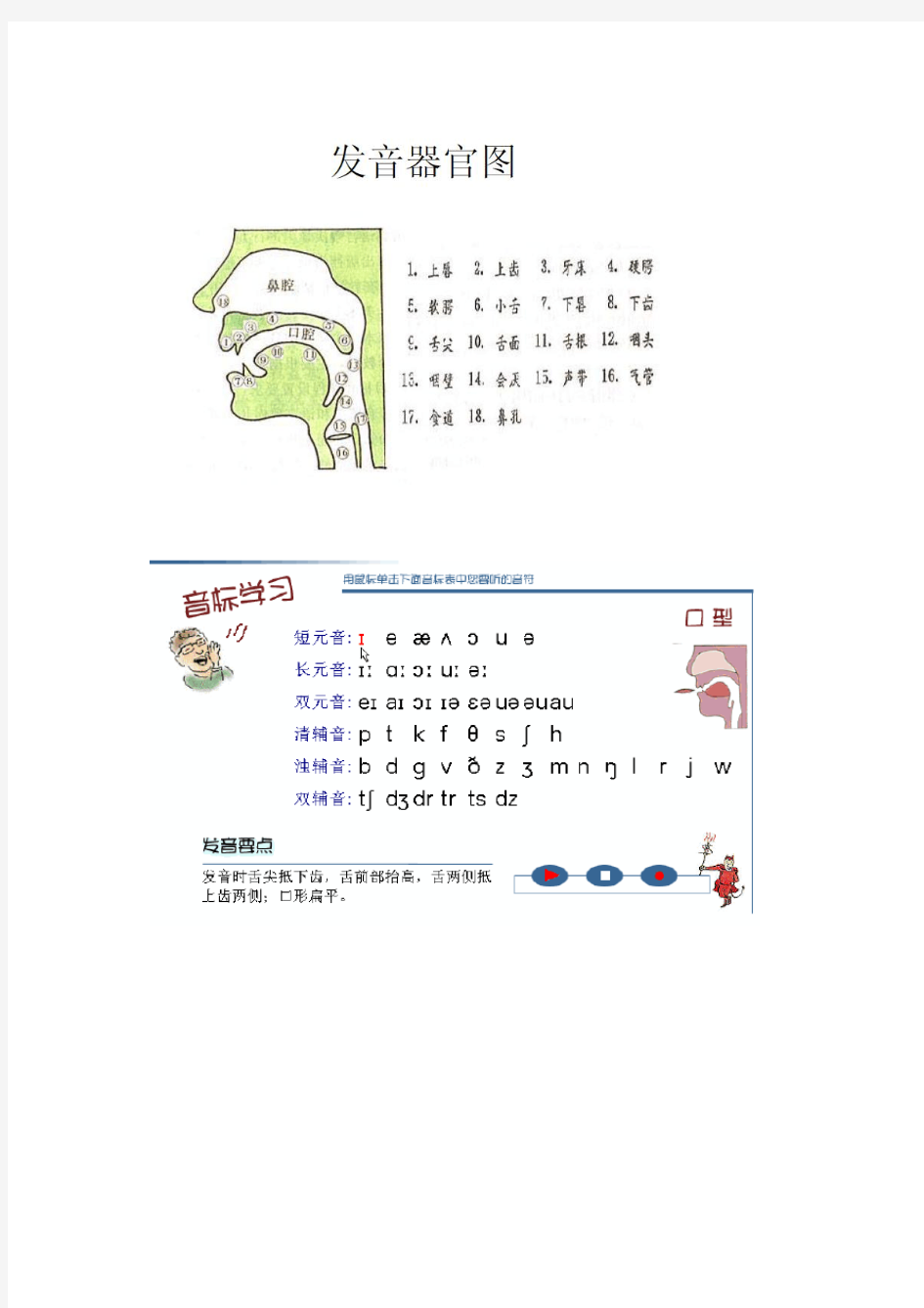 (完整版)英语国际音标发音口型_舌位一览表