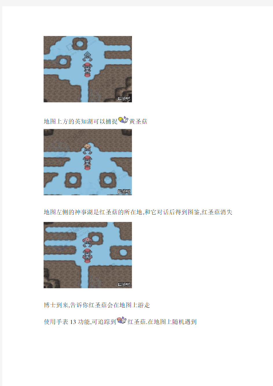 口袋妖怪白金二周目图文攻略