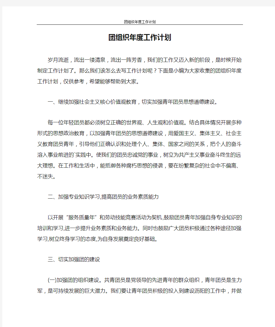 工作计划 团组织年度工作计划