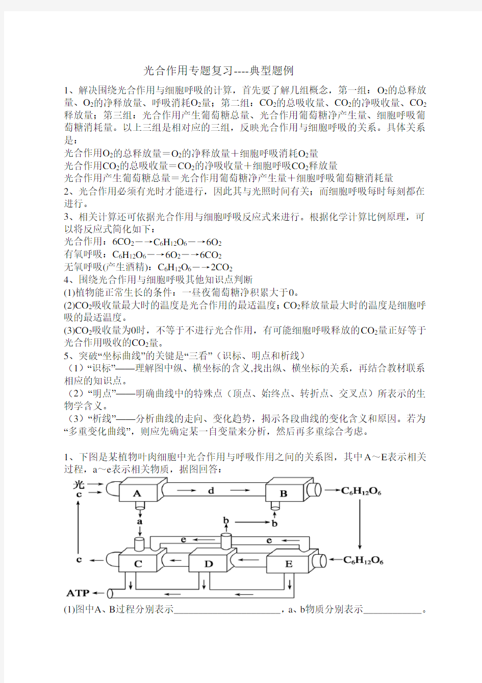 光合作用专题复习----典型题例