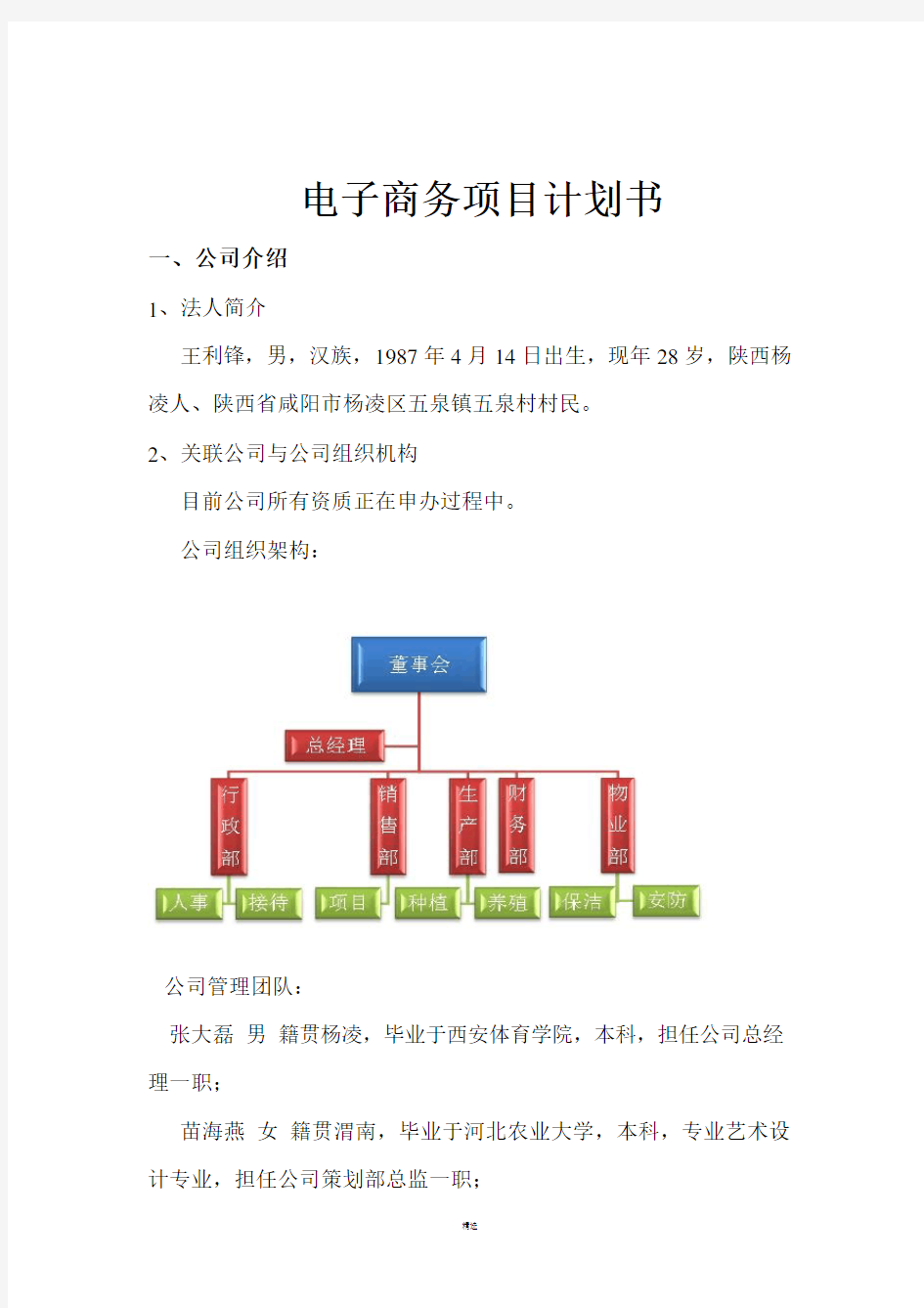 电商项目计划书