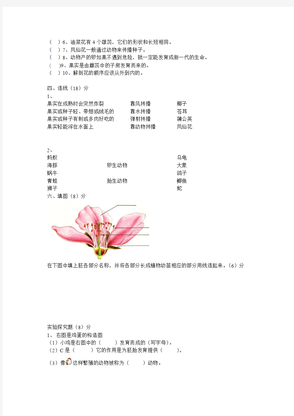 教科版_四年级科学_第二单元新的生命_试卷