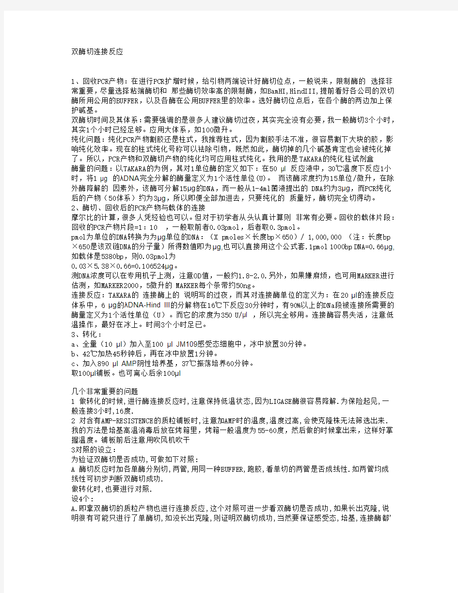 双酶切连接反应